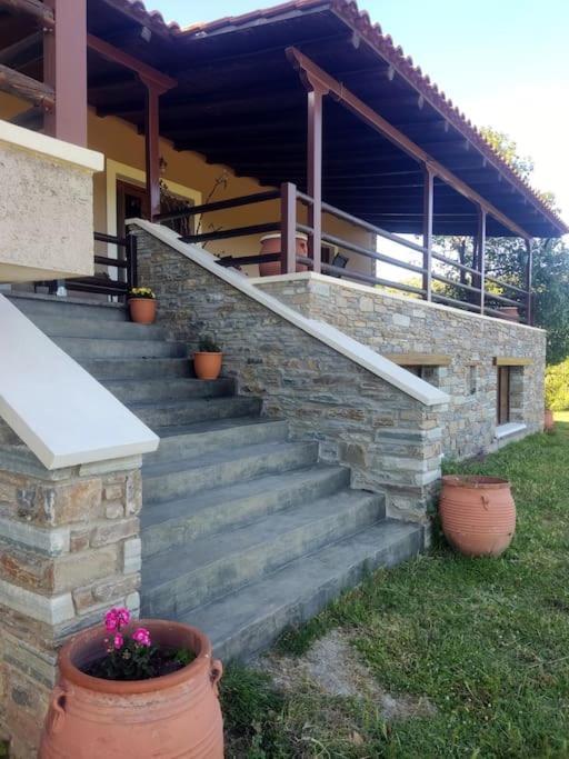 "Venus" Apartment Agios Vlasios  Exterior photo