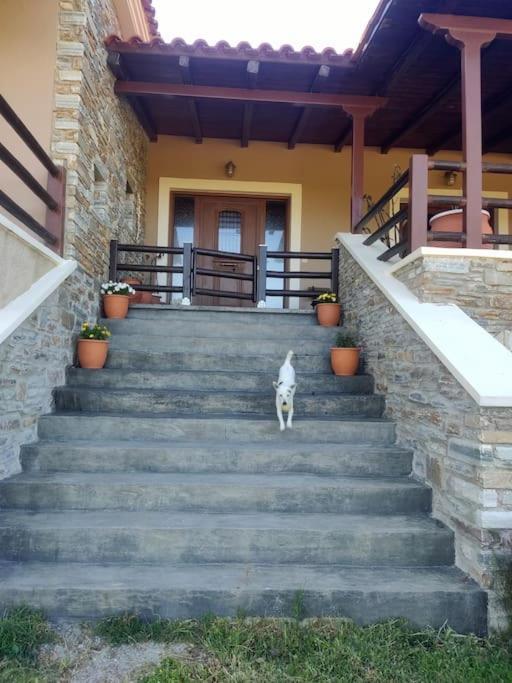 "Venus" Apartment Agios Vlasios  Exterior photo
